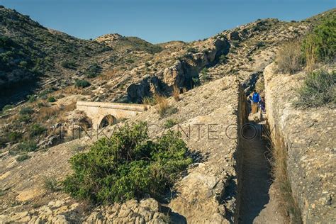 pantano de elche ruta|Sendero Pantano de Elche